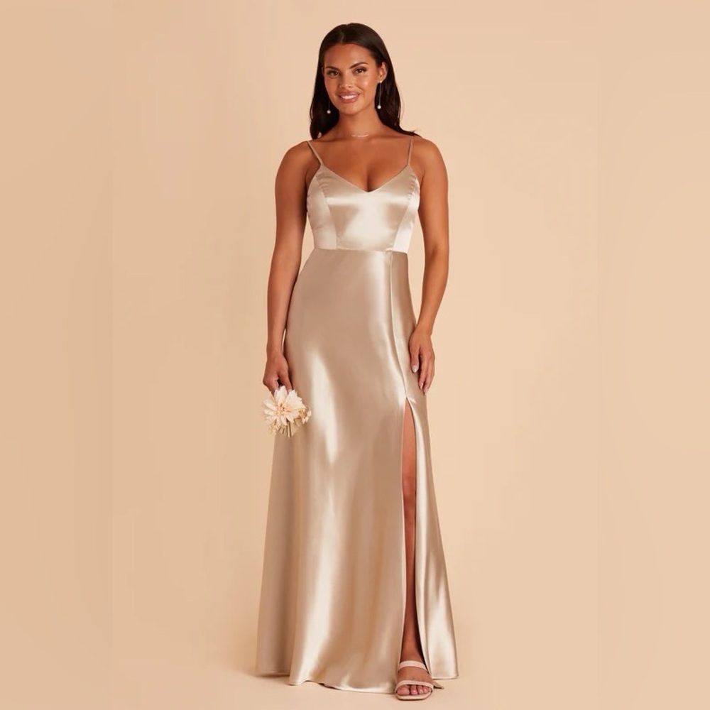 Medium. Birdy Grey, Jay Dress- Neutral Champagne. Not altered